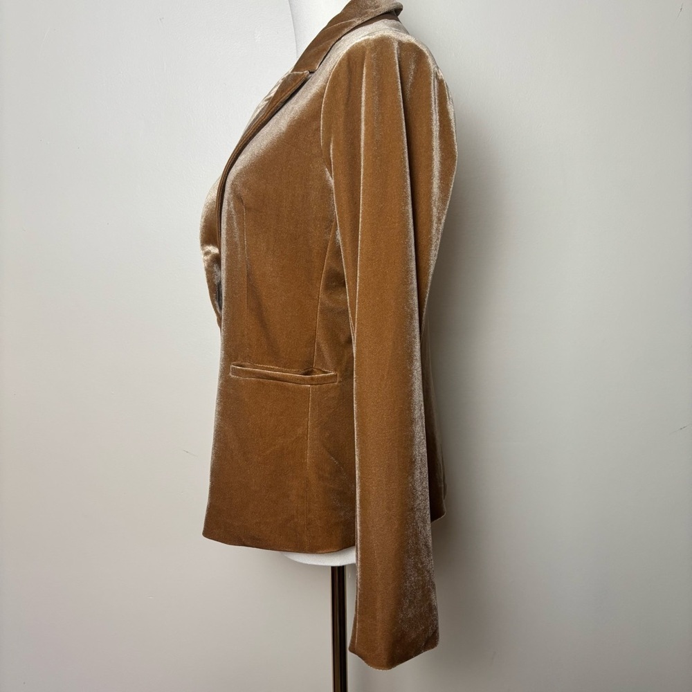 Molly Bracken Velour Blazer Single breasted Notched Lapels 2 Welt Pockets Sz S - Picture 4 of 12